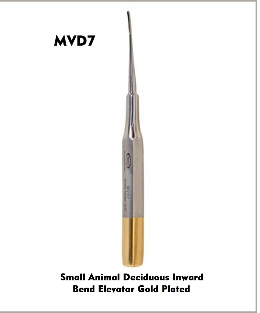 Small Animal Deciduous Elevator Inward Bend